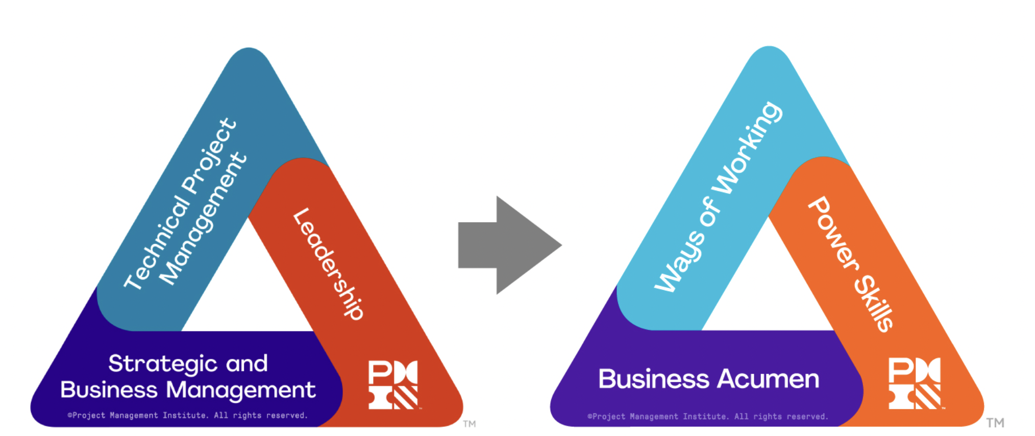 Triangulo del PMI